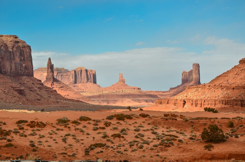Desert with lone tree at golden hour